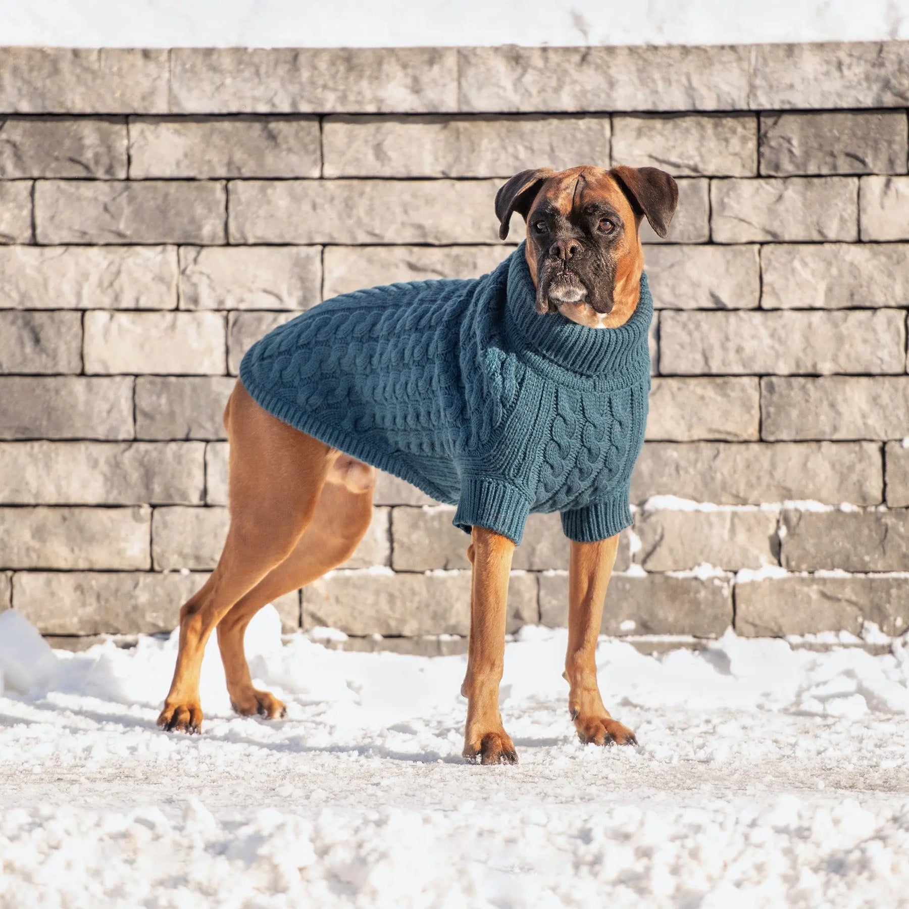 Chalet Dog Sweater | Dark Teal GF PET Apparel GF Pet Official Online Store