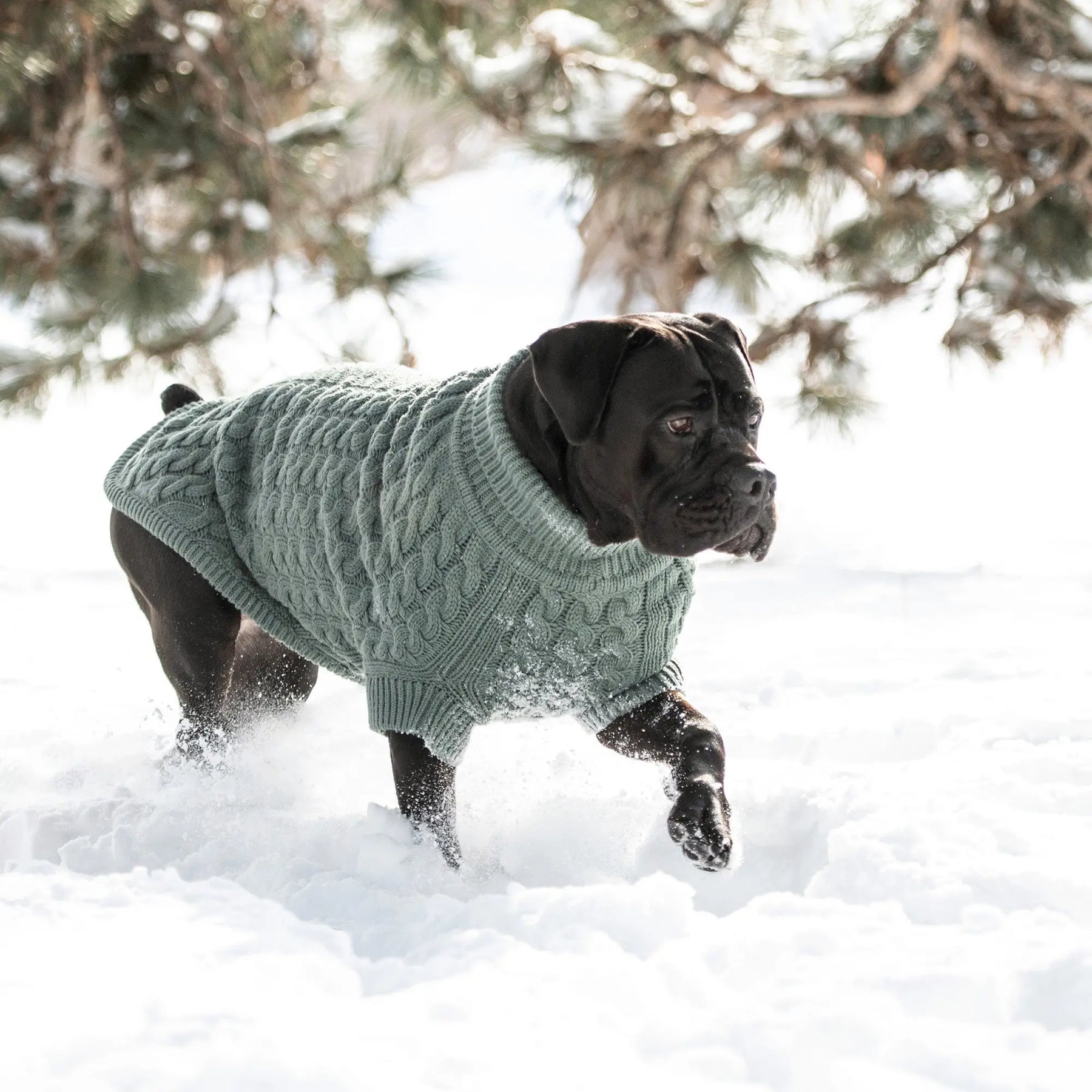 Chalet Dog Sweater | Sage GF PET Apparel GF Pet Official Online Store