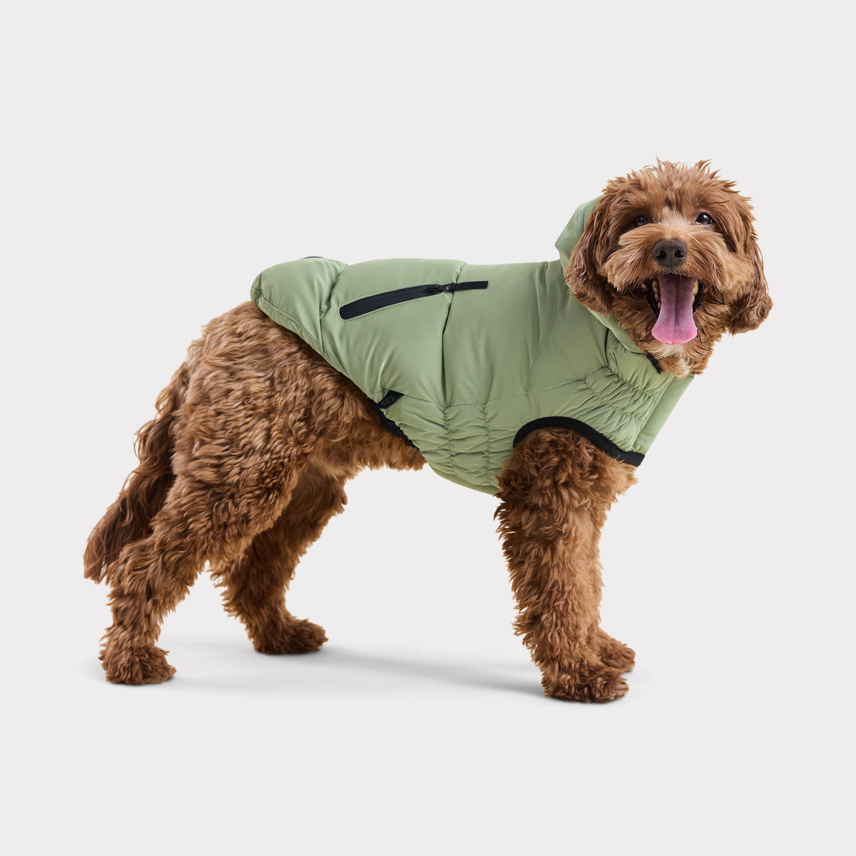 Cold Mountain Puffer | Cherry Frost GF Pet Official Online Store Apparel GF Pet Official Online Store