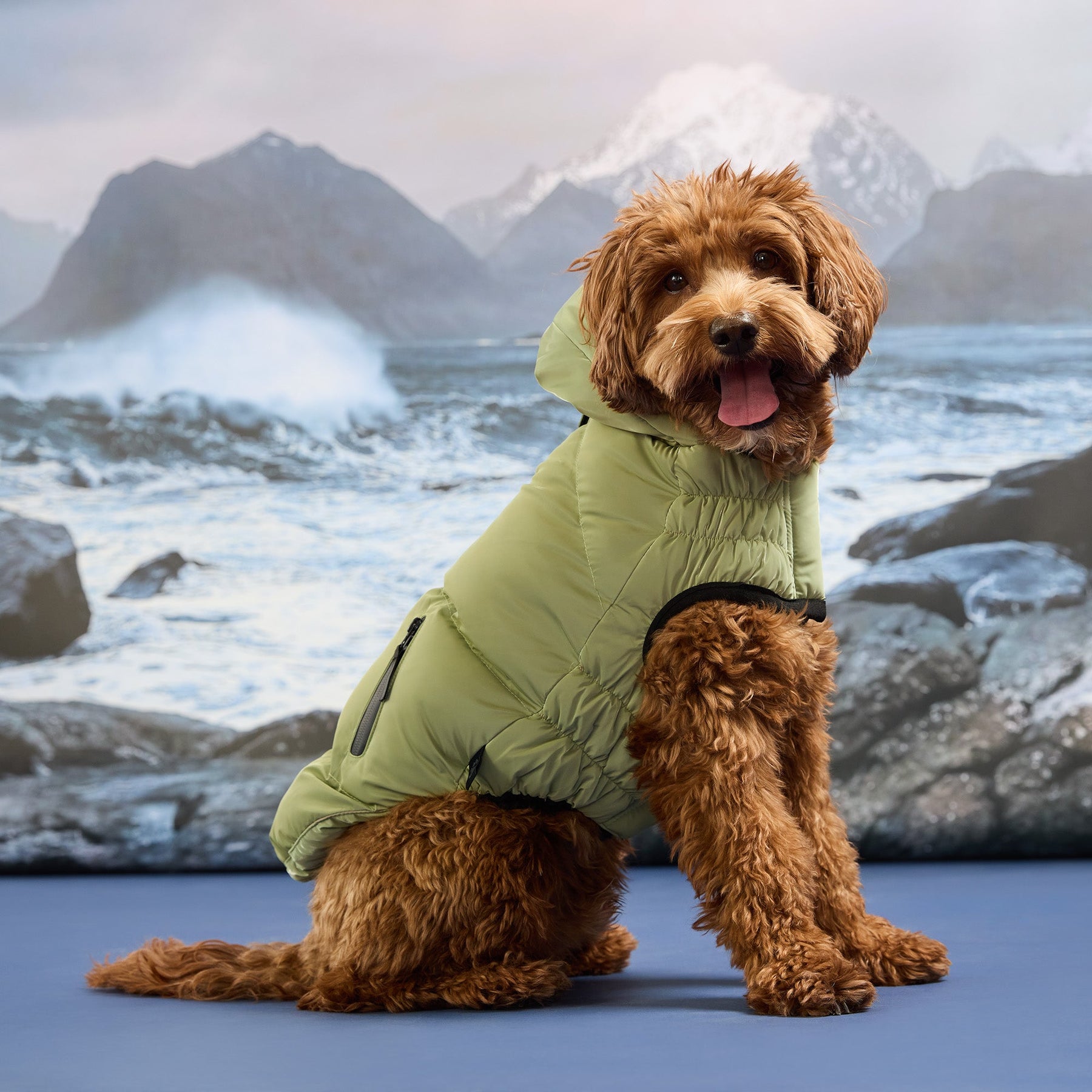 Cold Mountain Puffer | Cherry Frost GF Pet Official Online Store Apparel GF Pet Official Online Store