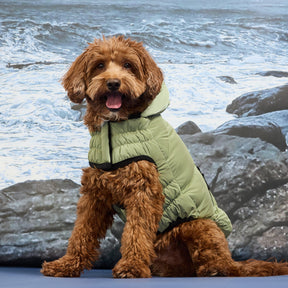 Cold Mountain Puffer | Cherry Frost GF Pet Official Online Store Apparel GF Pet Official Online Store