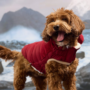 Cold Mountain Puffer | Cherry Frost (Copy) GF Pet Official Online Store Apparel GF Pet Official Online Store