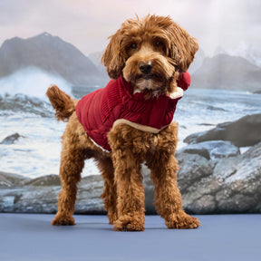 Cold Mountain Puffer | Cherry Frost (Copy) GF Pet Official Online Store Apparel GF Pet Official Online Store
