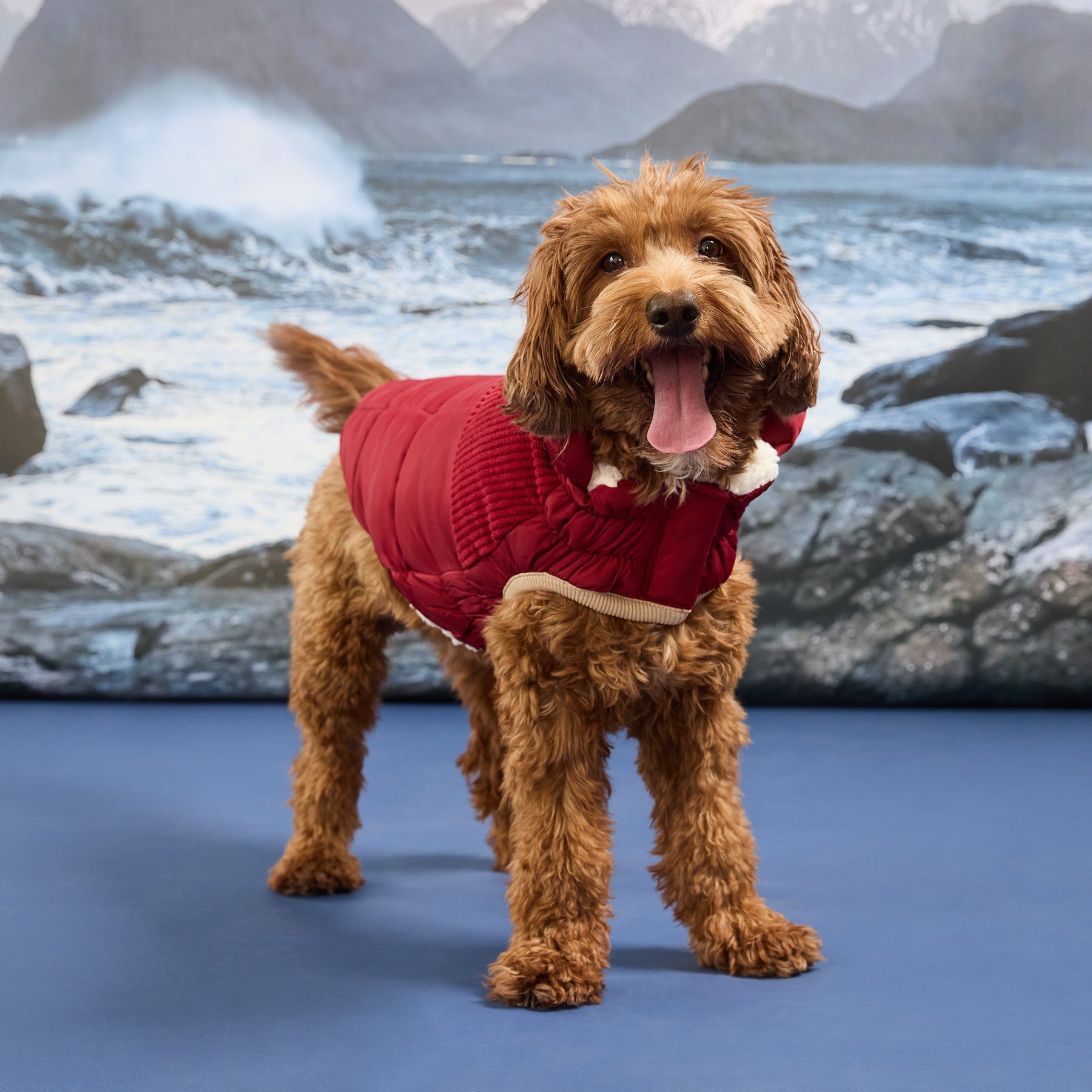 Cold Mountain Puffer | Cherry Frost (Copy) GF Pet Official Online Store Apparel GF Pet Official Online Store