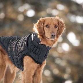 Reversible Chalet Dog Jacket | Black Fleece - GF Pet Official Online Store