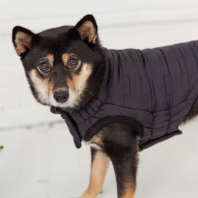 Reversible Chalet Dog Jacket | Black Fleece - GF Pet Official Online Store