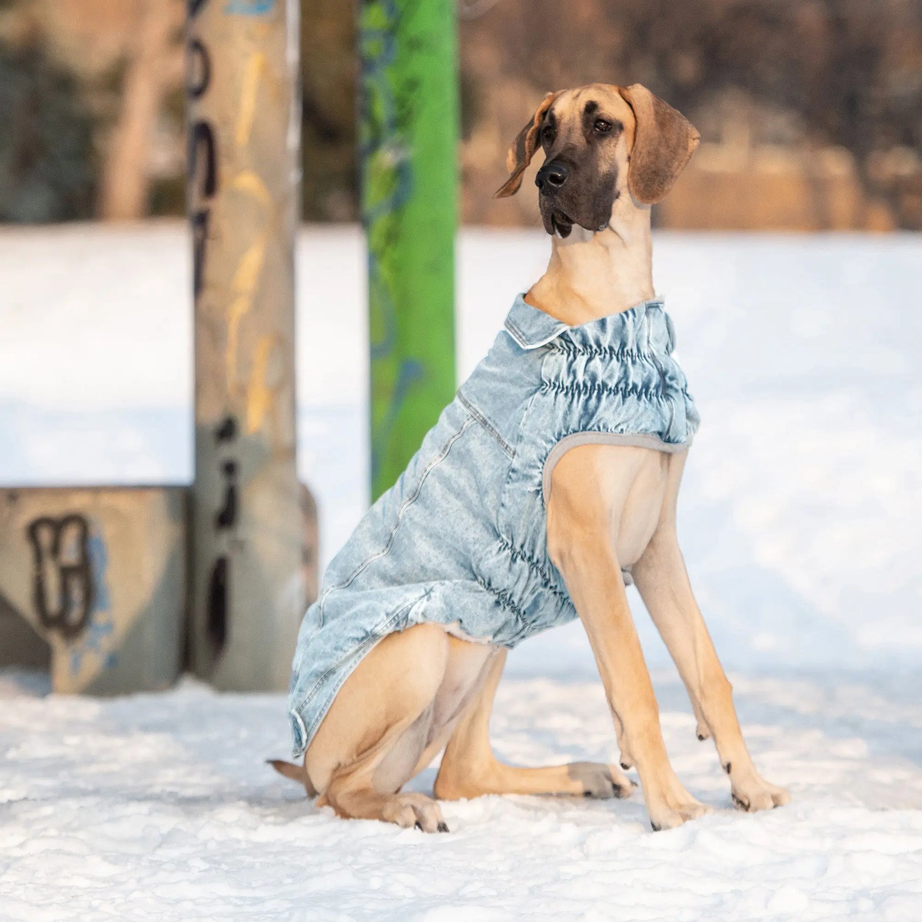 ocean denim dog dress Amazon.com : ANIAC Denim Dog Dresses for Small Dogs Puppy Girl Clothes with Leash Ring and Cute Bow Knot Summer Cat Apparel with D-Ring Blue Girl Dog Clothes (Dark Blue,Small) : Pet