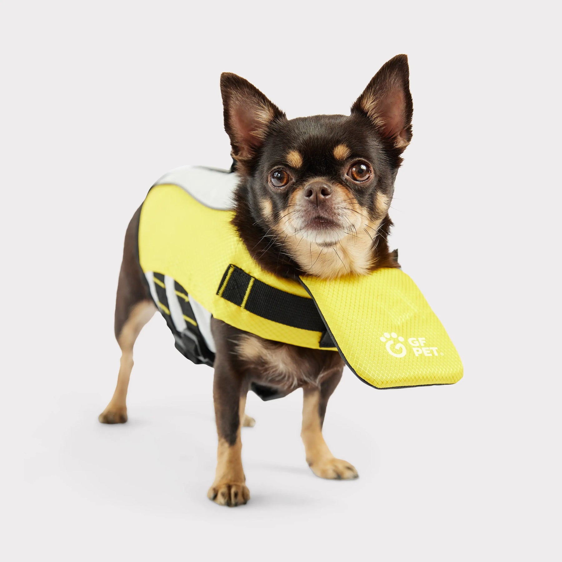 Dog Life Vest | Yellow GF PET Travel & Outdoors GF Pet Official Online Store