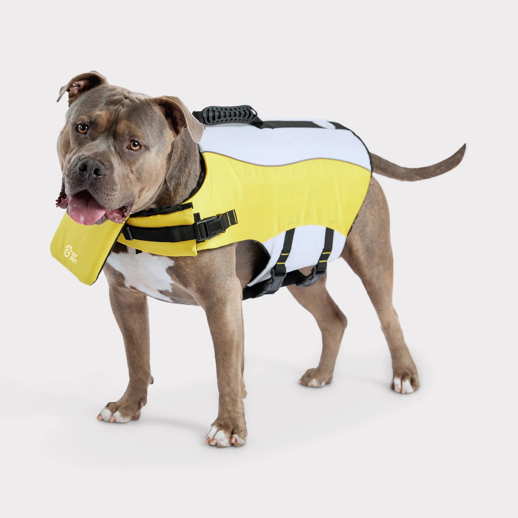 Dog Copenhagen Trixie Gilet de Sécurité Safer Life pour Chien en Polyester  L Jaune Fluo 1 Unité