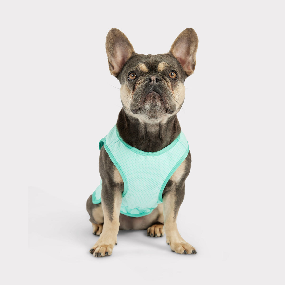 Elasto-Fit¨ Ice Vest¨ | Dog Cooling Vest | Aqua GF PET Cooling GF Pet Official Online Store