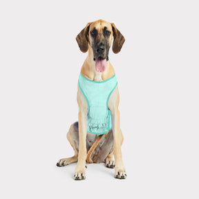 Elasto-Fit¨ Ice Vest¨ | Dog Cooling Vest | Aqua GF PET Cooling GF Pet Official Online Store