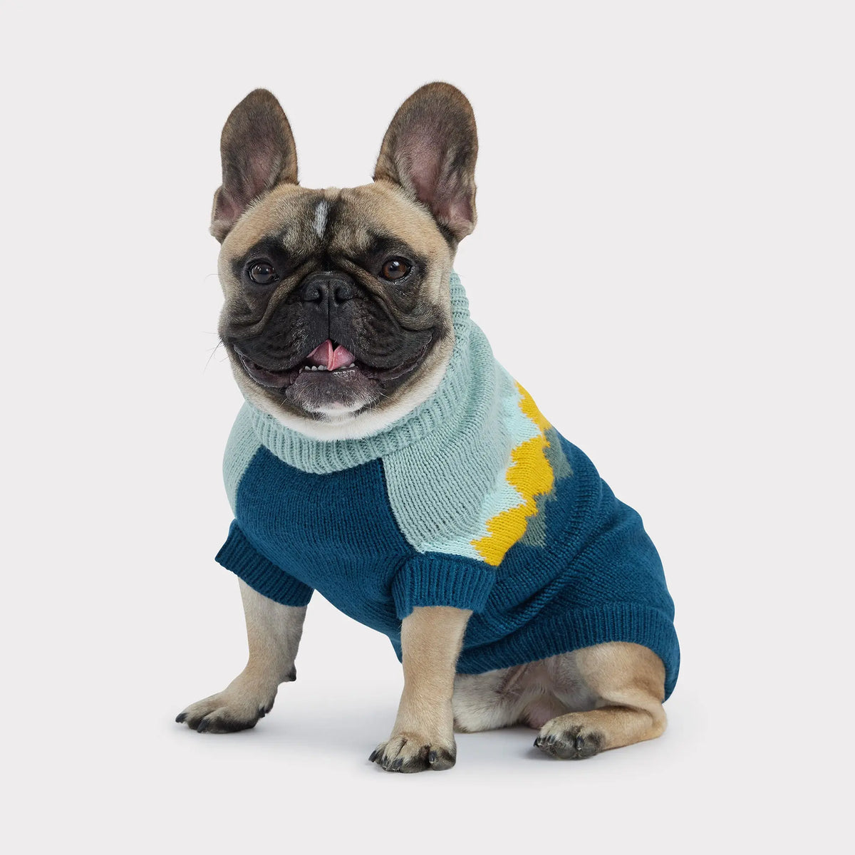 Fireside Dog Sweater | Dark Teal GF Pet Official Online Store Apparel GF Pet Official Online Store