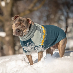 Fireside Dog Sweater | Dark Teal GF Pet Official Online Store Apparel GF Pet Official Online Store
