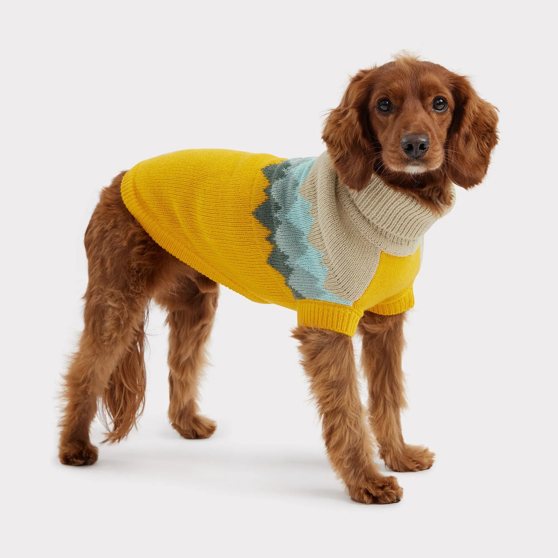 Fireside Dog Sweater | Yellow GF Pet Official Online Store Apparel GF Pet Official Online Store