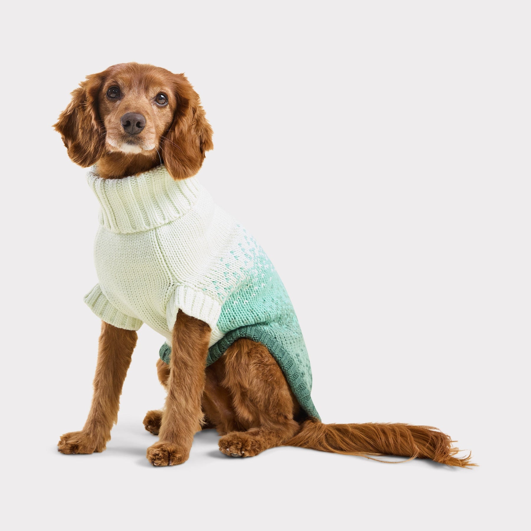 Fisherman Sweater | Harbor Plum GF Pet Official Online Store Apparel GF Pet Official Online Store
