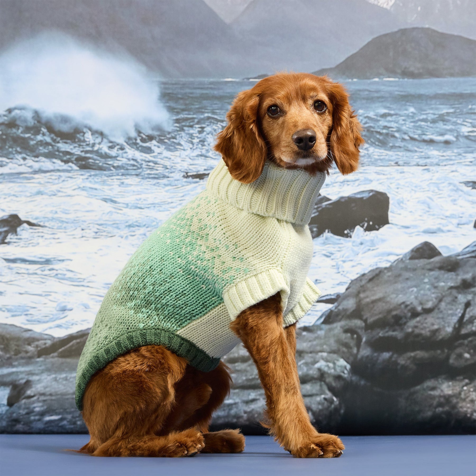 Fisherman Sweater | Harbor Plum GF Pet Official Online Store Apparel GF Pet Official Online Store