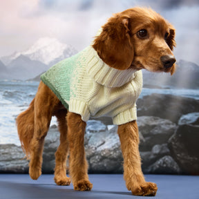 Fisherman Sweater | Harbor Plum GF Pet Official Online Store Apparel GF Pet Official Online Store