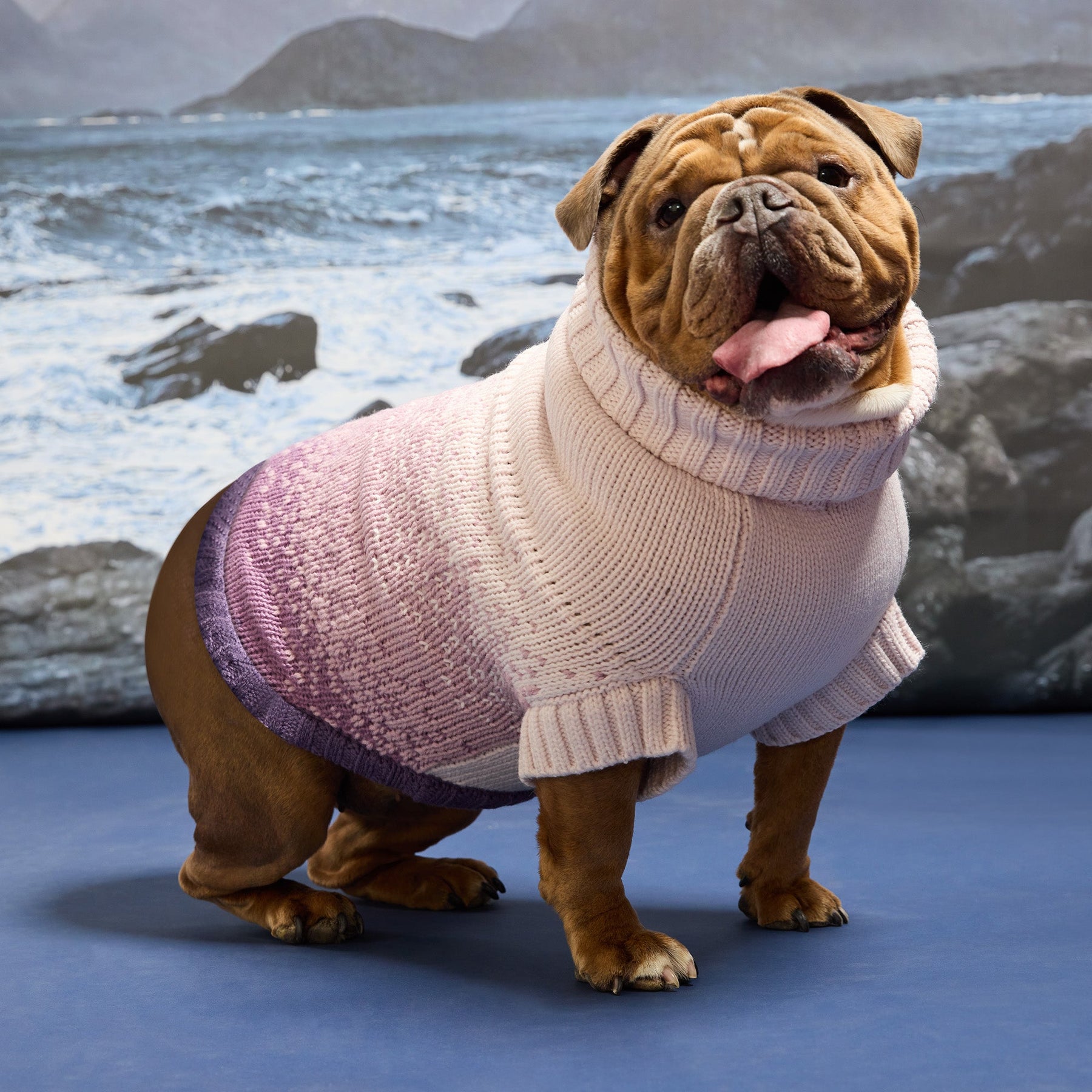 Fisherman Sweater | Portside Red GF Pet Official Online Store Apparel GF Pet Official Online Store