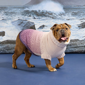 Fisherman Sweater | Portside Red GF Pet Official Online Store Apparel GF Pet Official Online Store