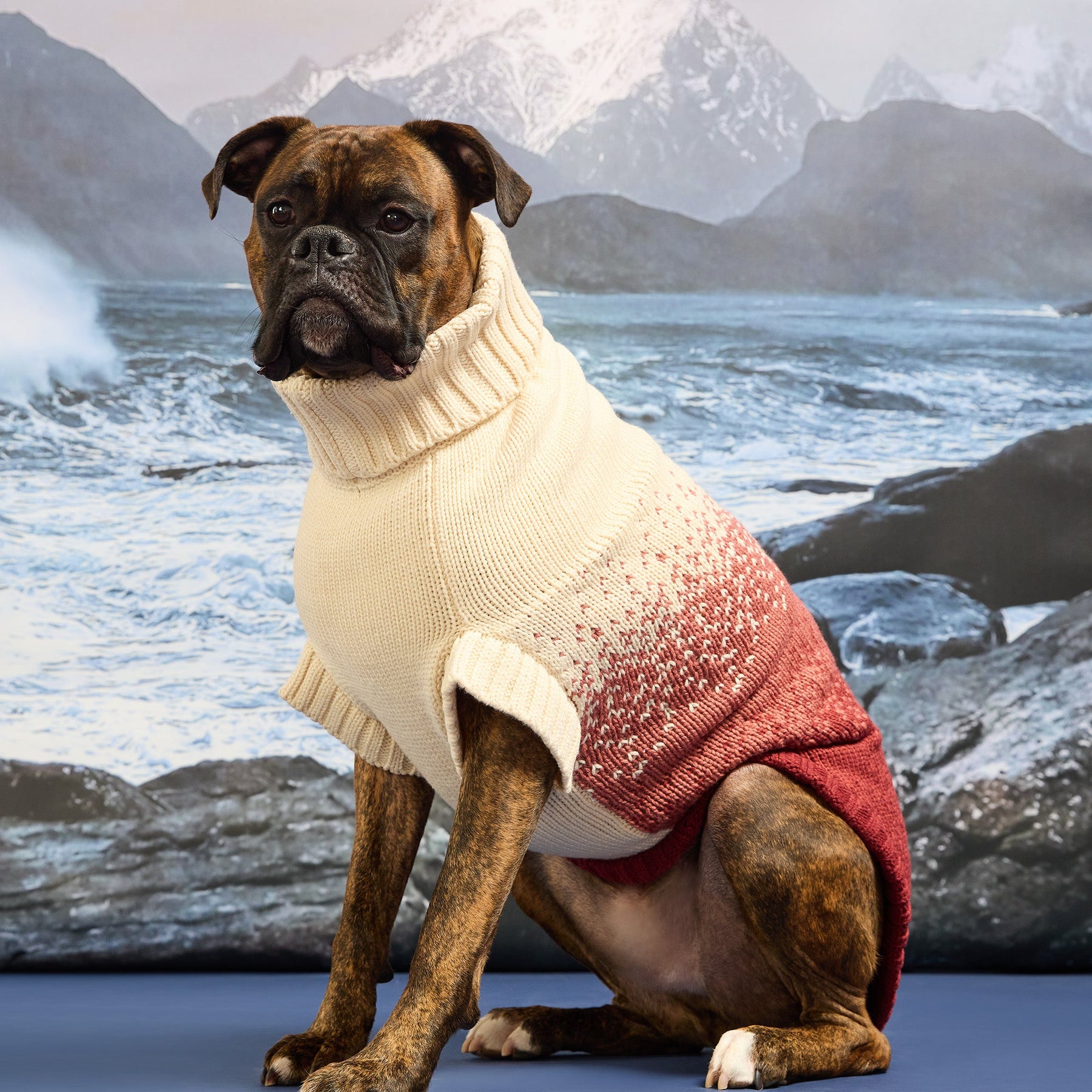 Fisherman Sweater | Portside Red (Copy) GF Pet Official Online Store Apparel GF Pet Official Online Store