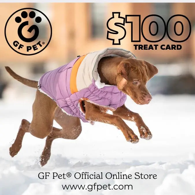 GF Pet Official Online Store Gift Card - Treat Card 100 GF PET Gift Cards GF Pet Official Online Store