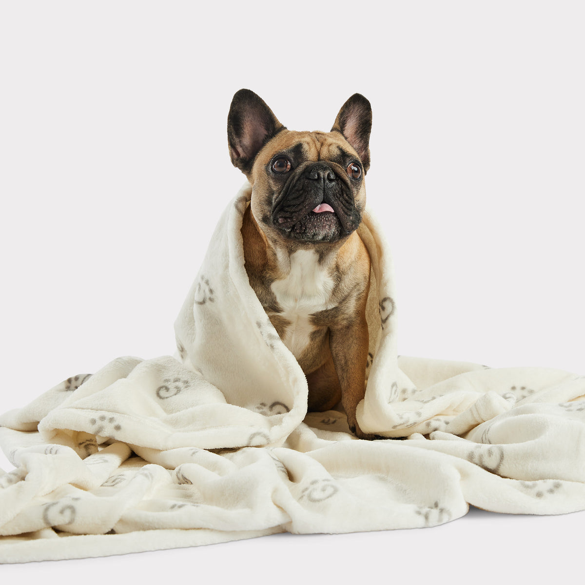 GF PET® Logo Blanket | Off White - GF Pet Official Online Store