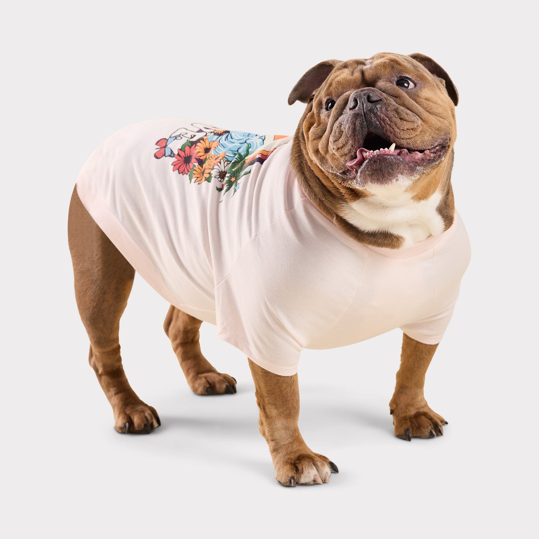 T-shirt graphique pour chien | Gris chiné