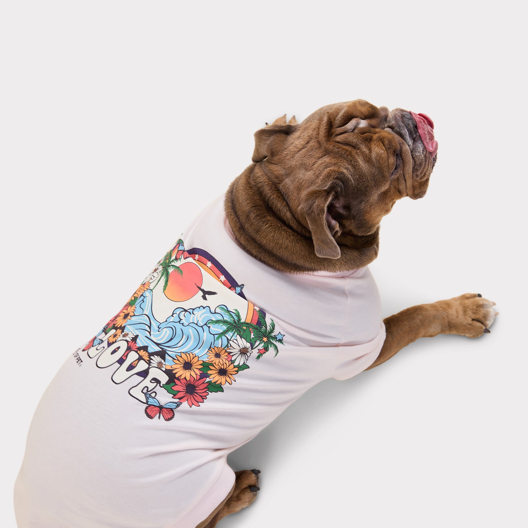 T-shirt graphique pour chien | Gris chiné