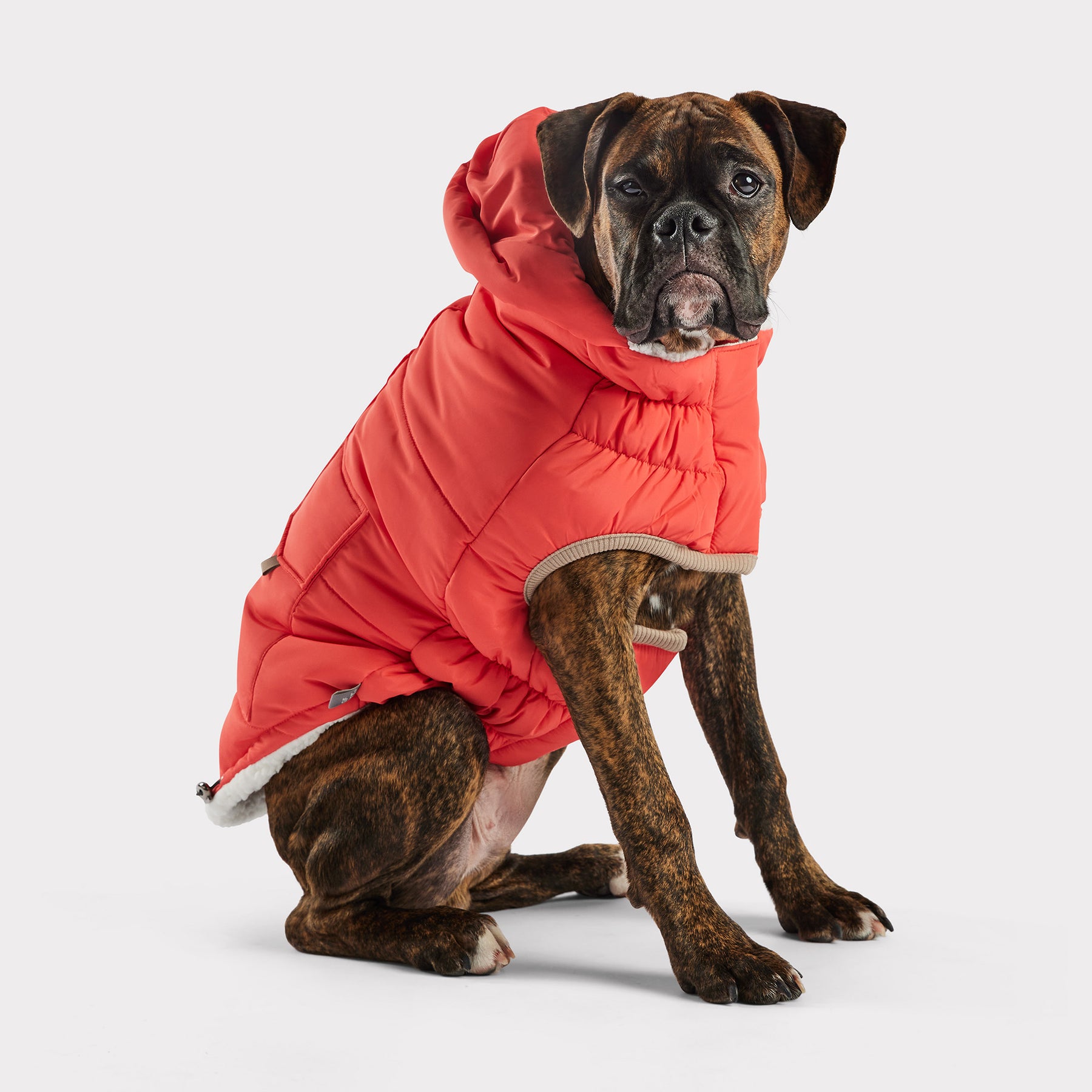 Parka nordique pour chien InFiber™ | Cayenne