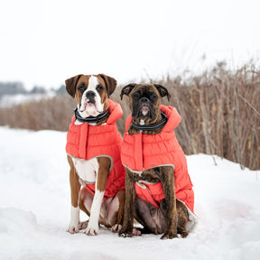 Parka nordique pour chien InFiber™ | Cayenne