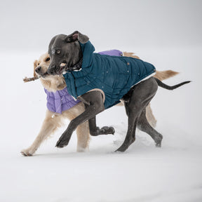 InFiber™ Nordic Dog Parka | Dark Teal