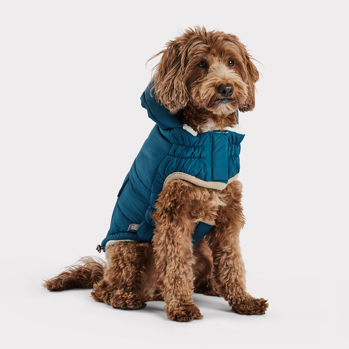 Parka nordique pour chien InFiber™ | Sarcelle foncé