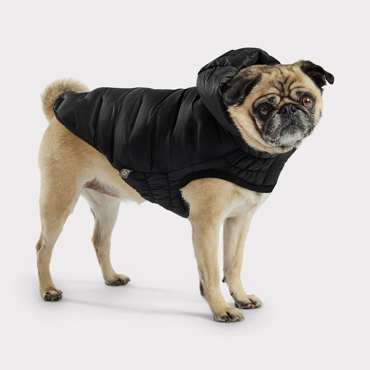 Cloud Dog Parka | Black