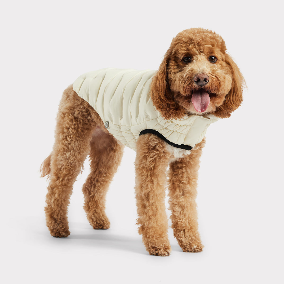 Parka pour chien nuage | Sable