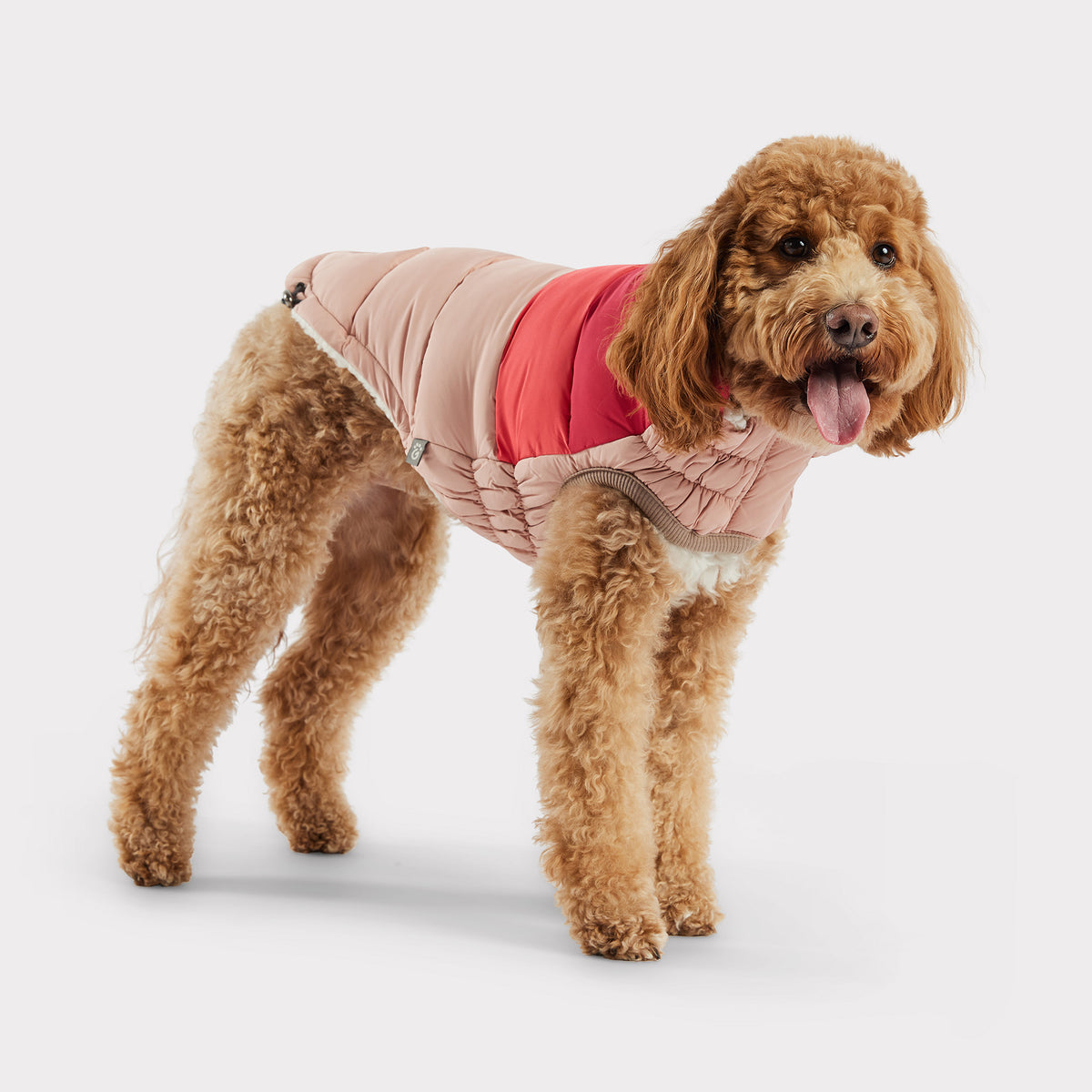 Puffer pour chien bloc de couleur | Rose