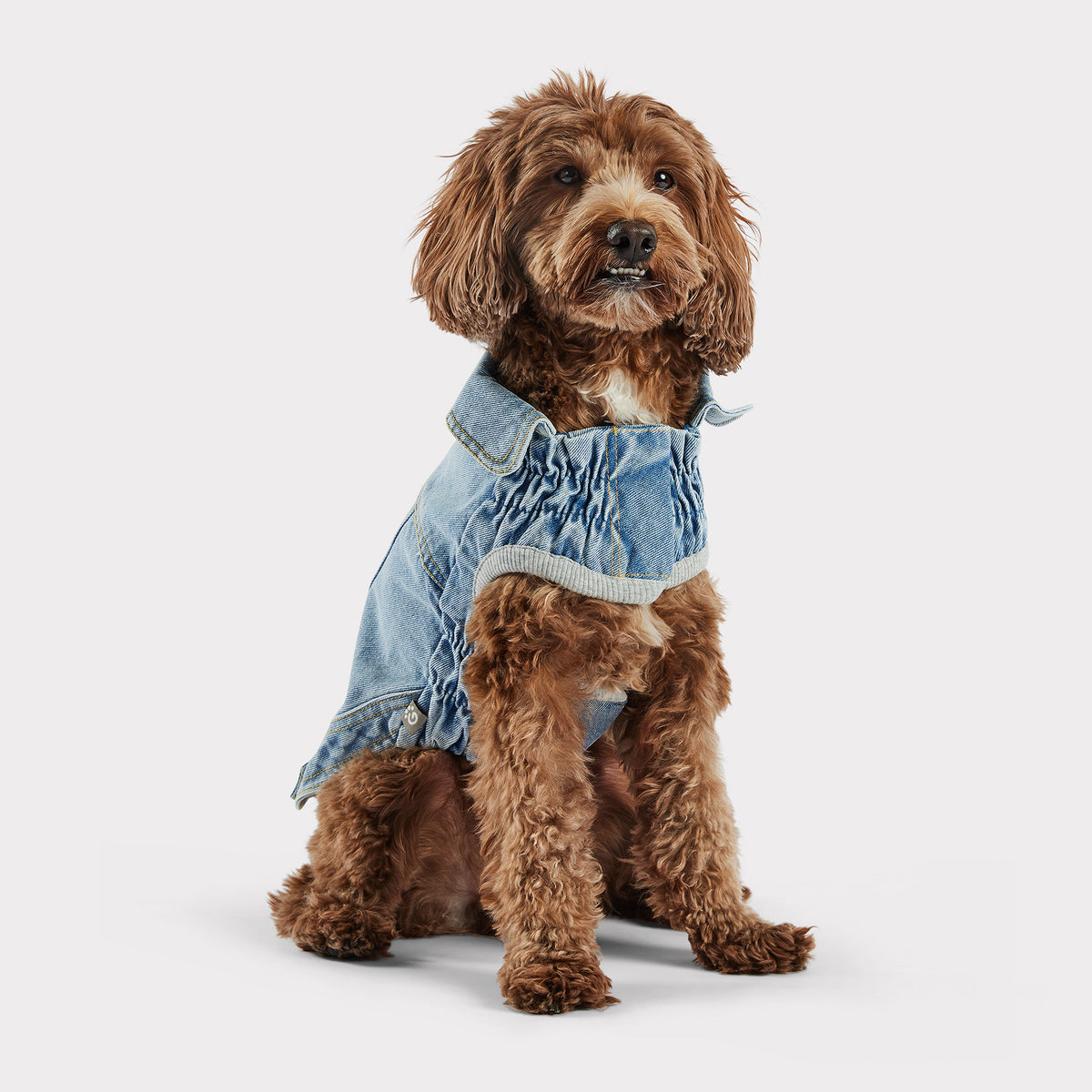 Veste pour chien en denim toutes saisons des années 90 | Lavage léger