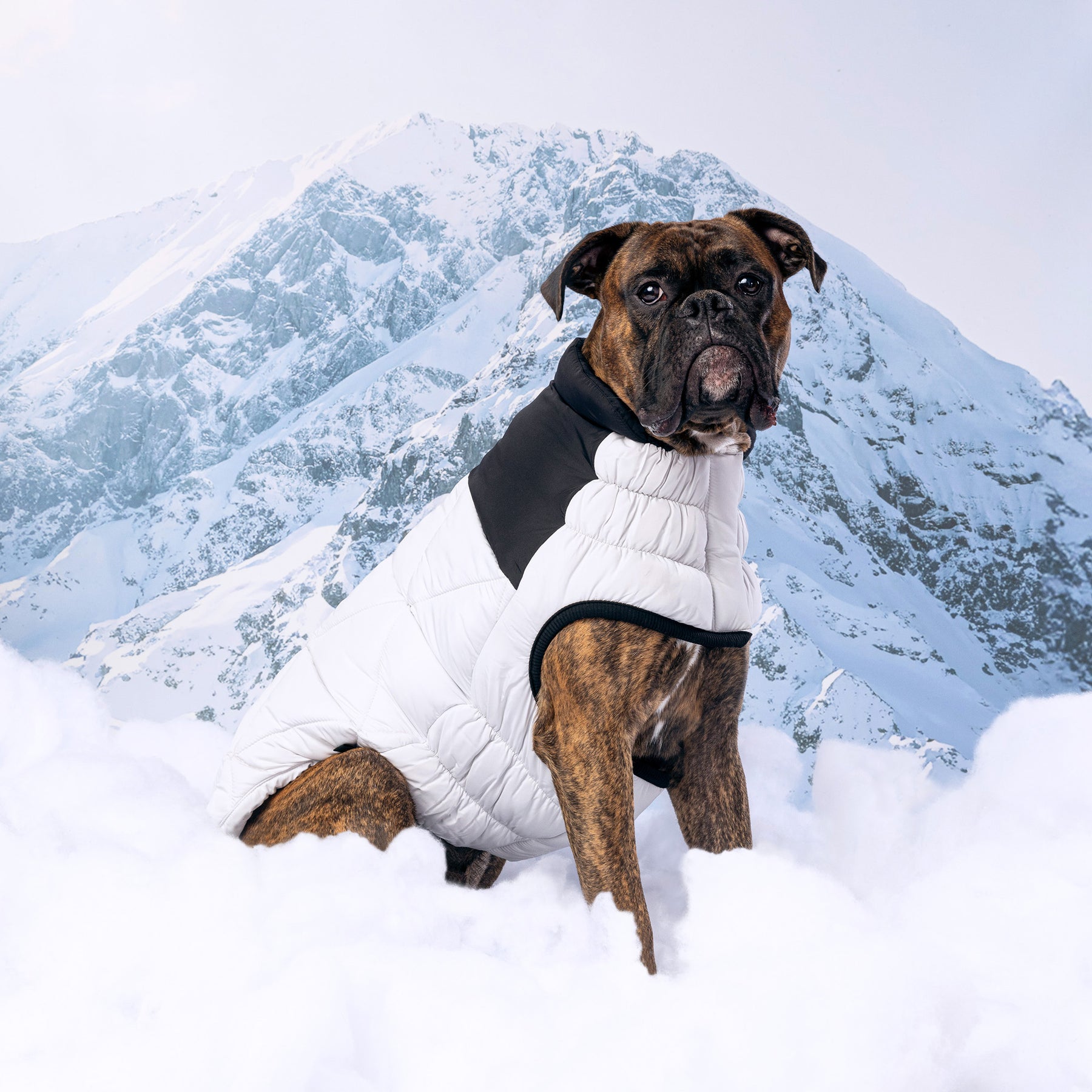 Diamond Dog Puffer | Grey