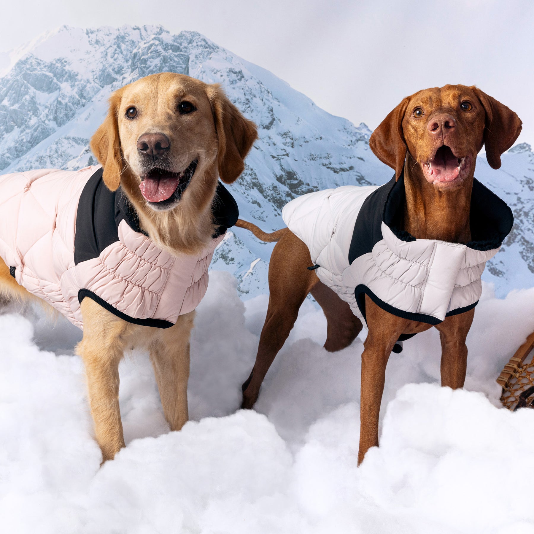 Diamond Dog Puffer | Pink