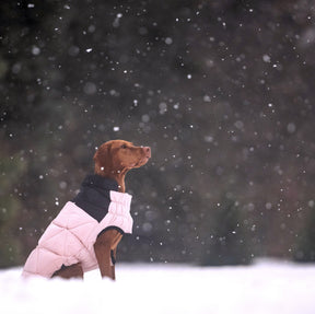Diamond Dog Puffer | Pink