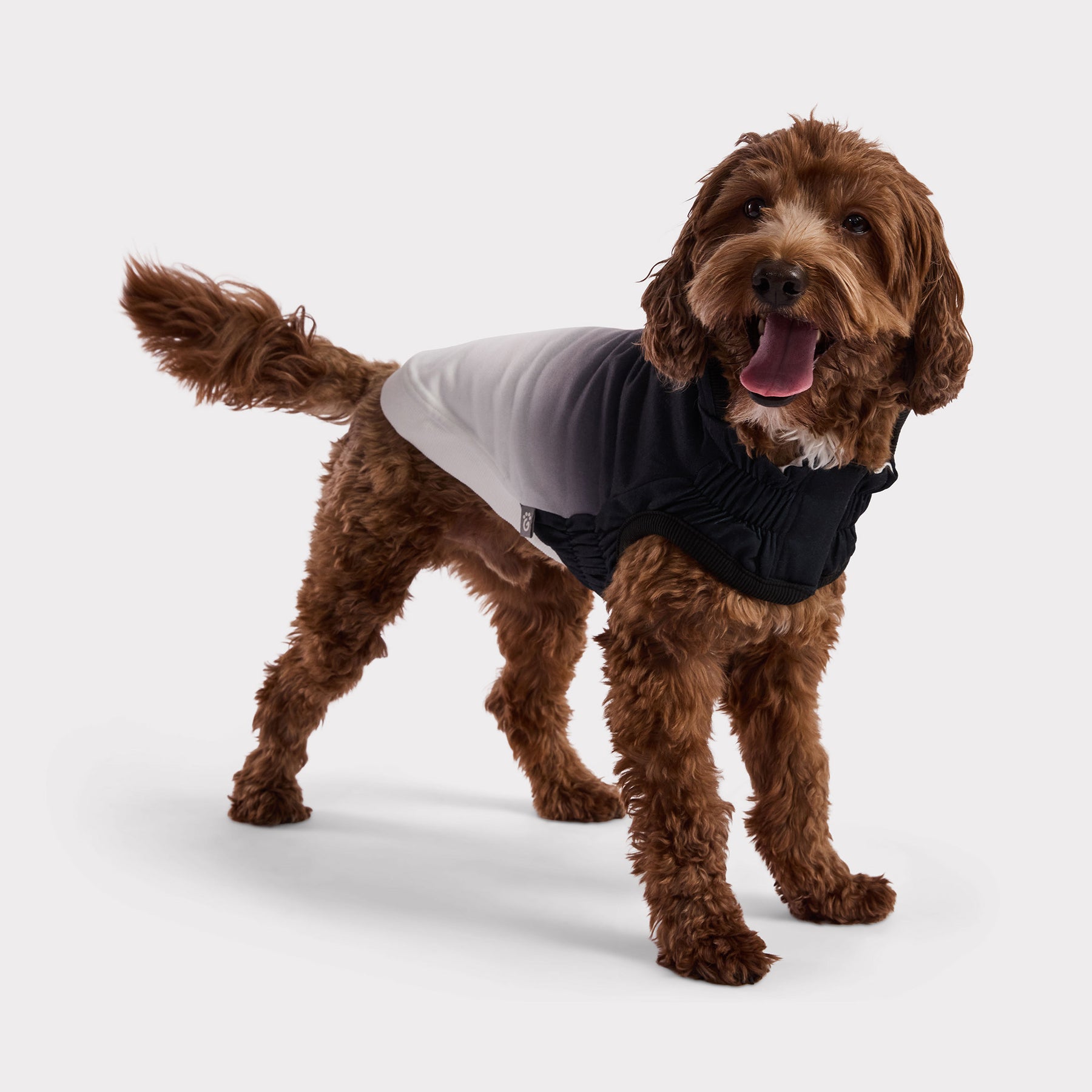 Good Vibes Dog Hoodie | Charbon de bois