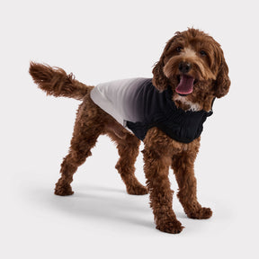 Good Vibes Dog Hoodie | Charbon de bois