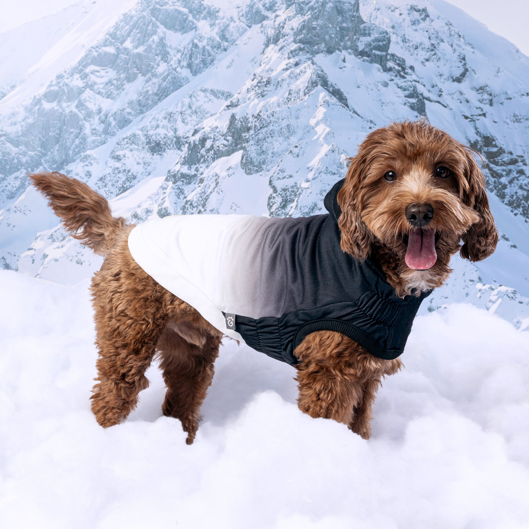 Good Vibes Dog Hoodie | Charbon de bois