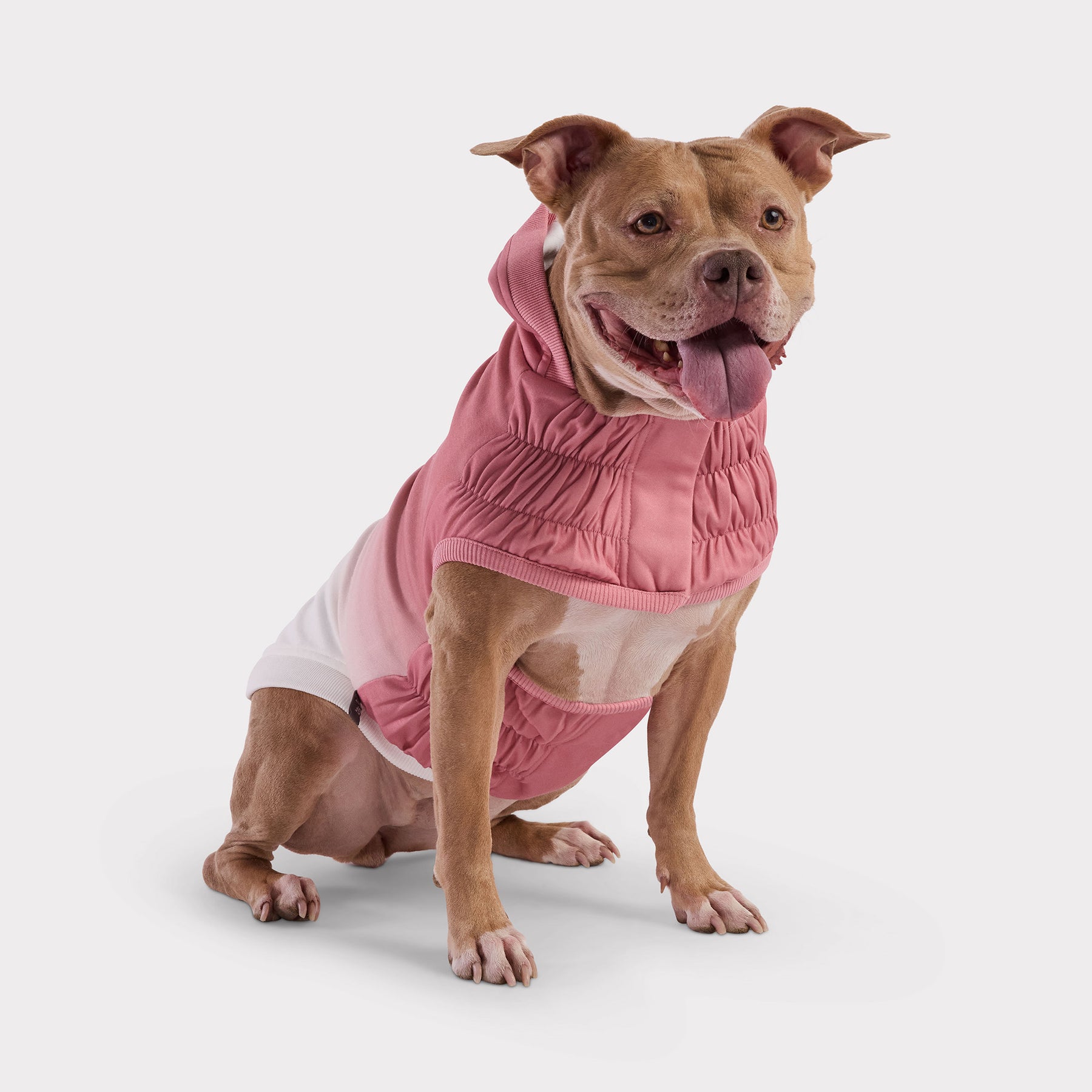 Good Vibes Dog Hoodie | Pink