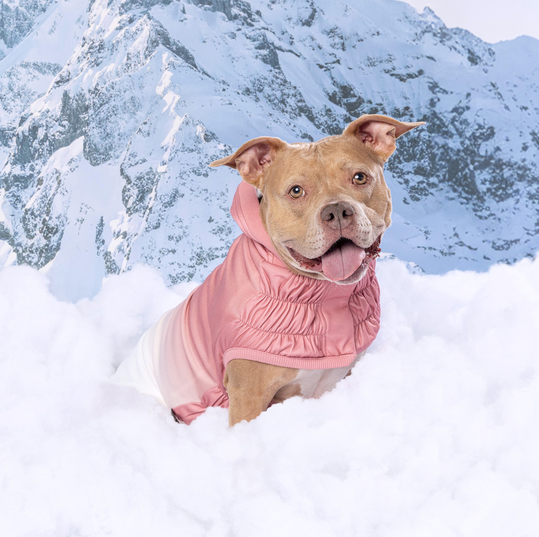 Good Vibes Dog Hoodie | Pink