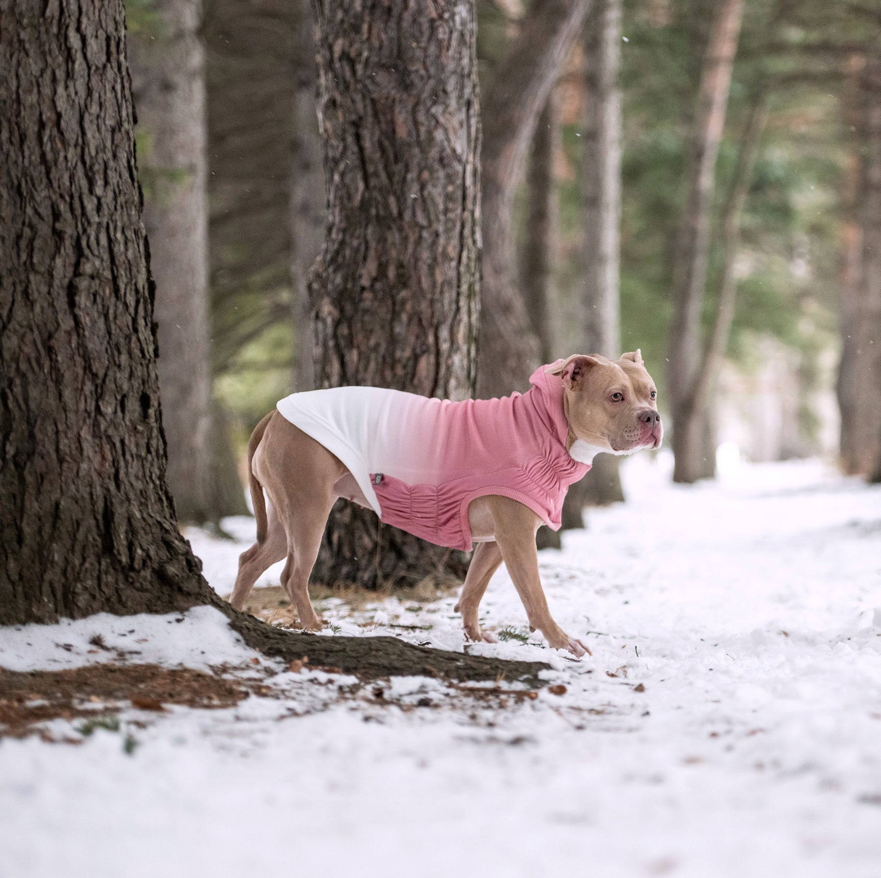 Good Vibes Dog Hoodie | Pink