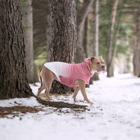 Good Vibes Dog Hoodie | Pink