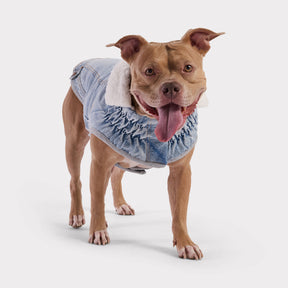 Northside Denim Dog Jacket | Light Wash