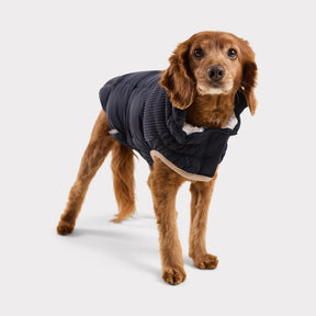 Cold Mountain Puffer | Vintage Navy