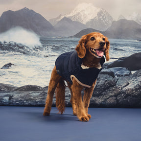 Cold Mountain Puffer | Vintage Navy