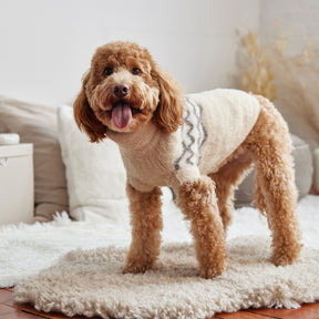 Pull pour chien flou | Sable